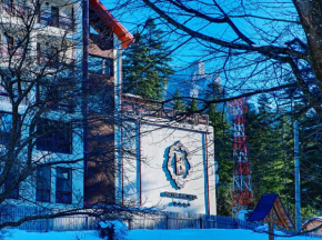  Hotel Bistrita  Дурай